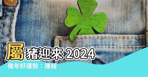 屬豬幸運色2024|【2024 屬豬】屬豬2024好運接踵而來！運勢、幸運色、財位、禁。